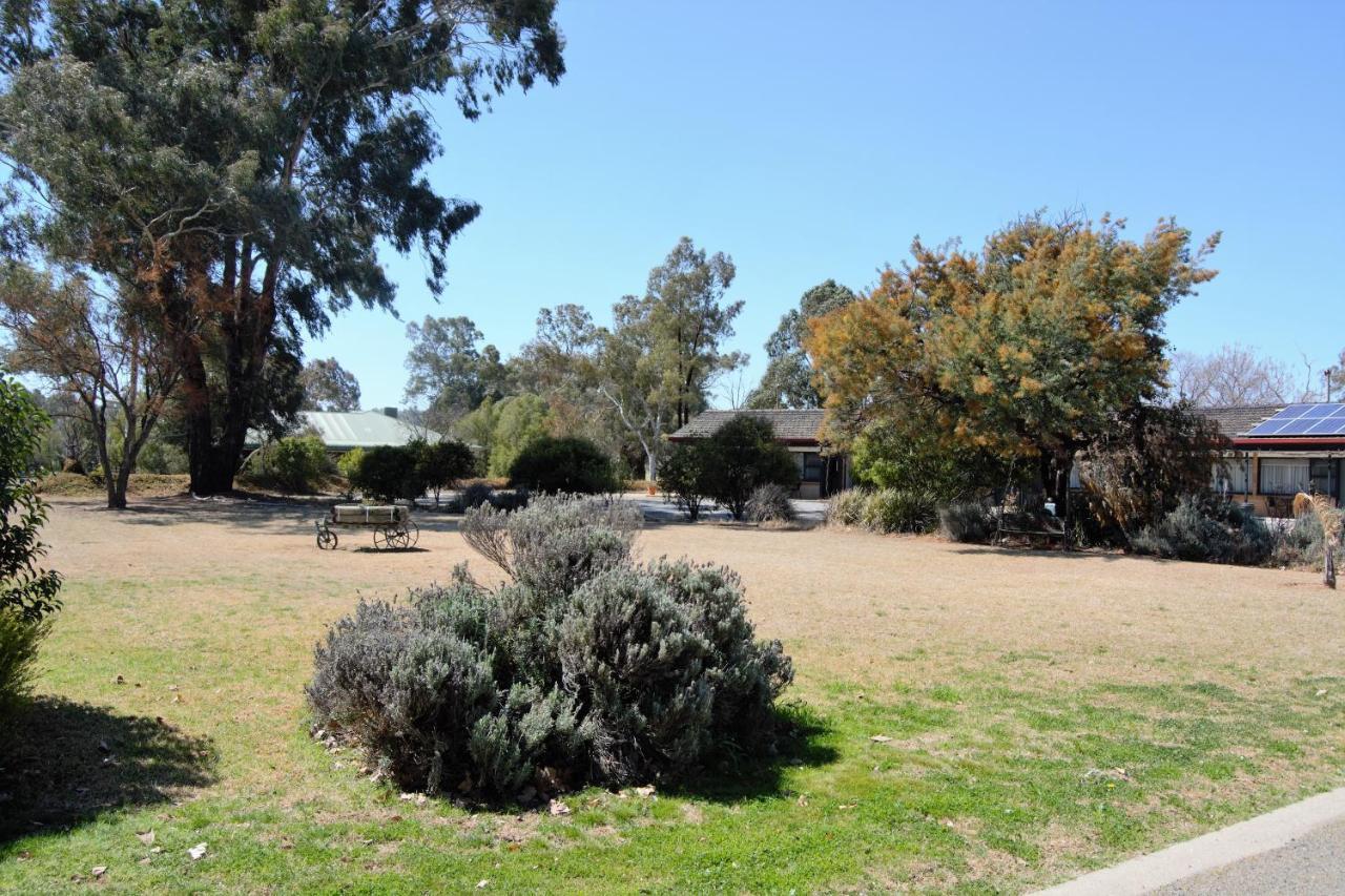 Civic Motor Inn Cowra Extérieur photo